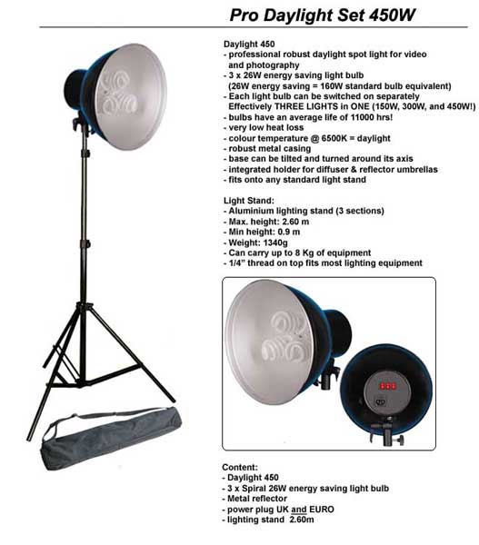 Daylight 450W Lamp with Stand