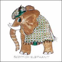 Socttish Elephant 