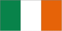 Ireland Flag  Fridge Magnet