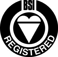 BSI Registered Logo